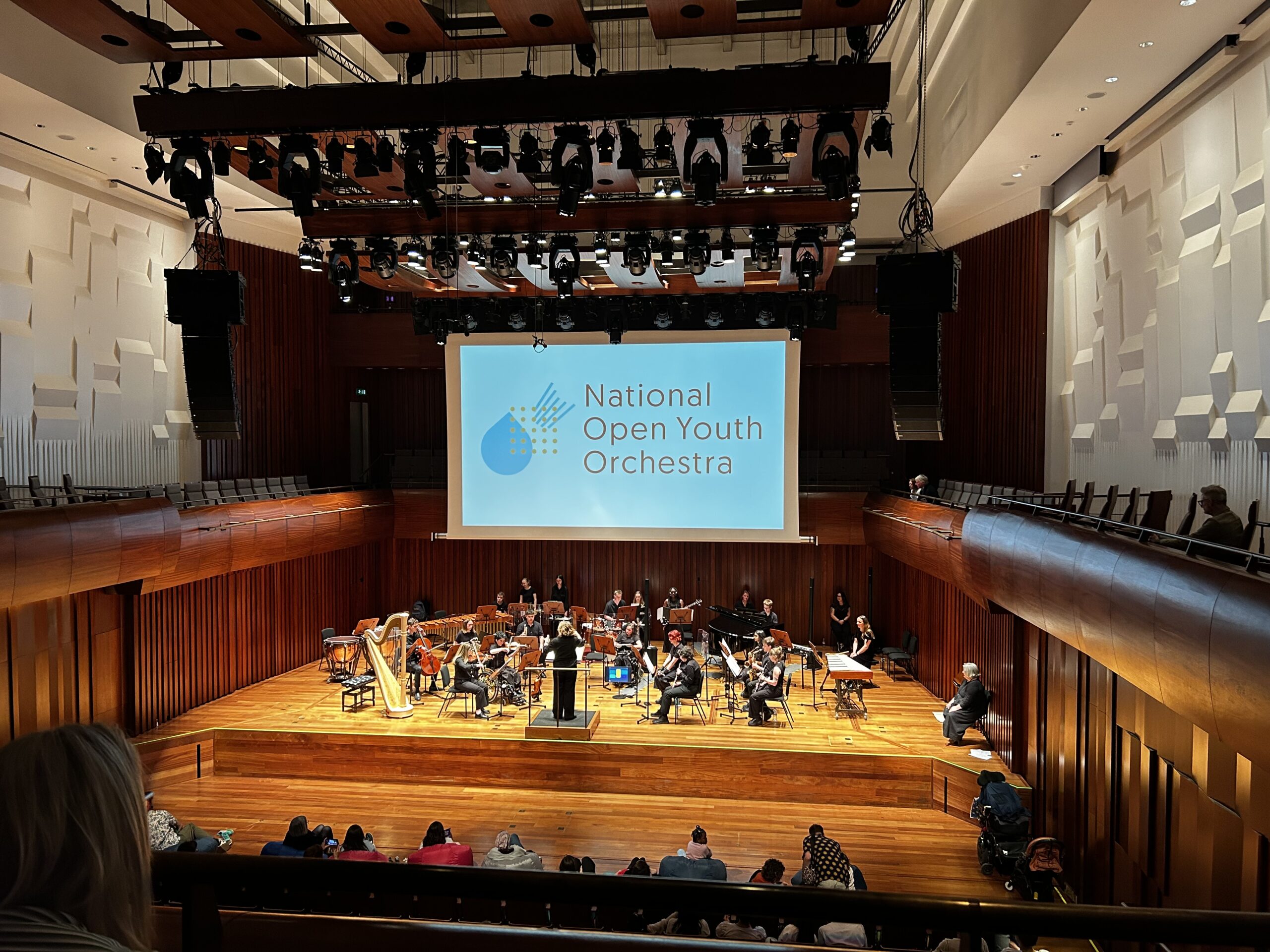 Review – National Open Youth Orchestra reveals just how much we don’t see
