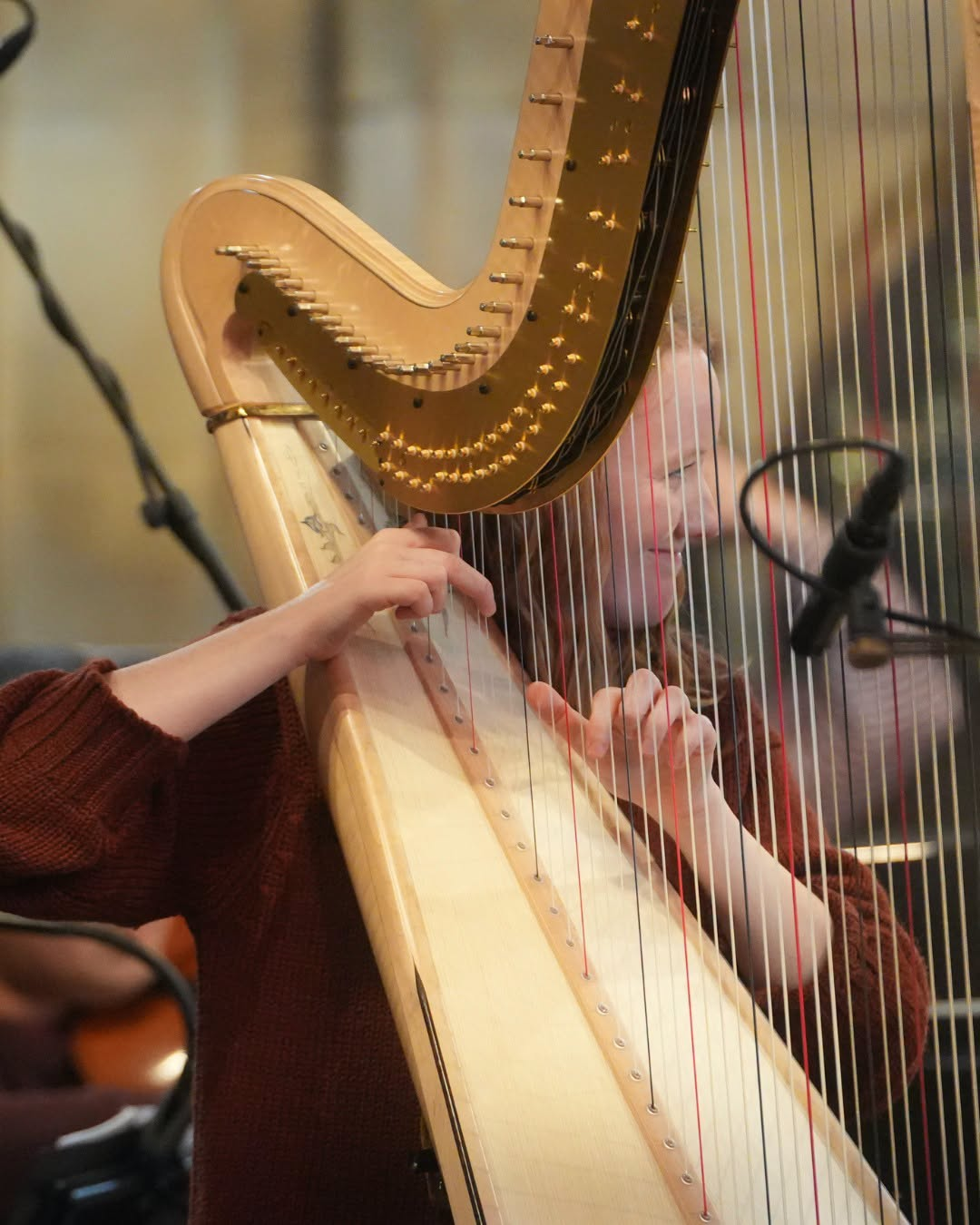 Review – ‘Nature’s Dance’ (Cameron Biles-Liddell) – BBC National Orchestra of Wales